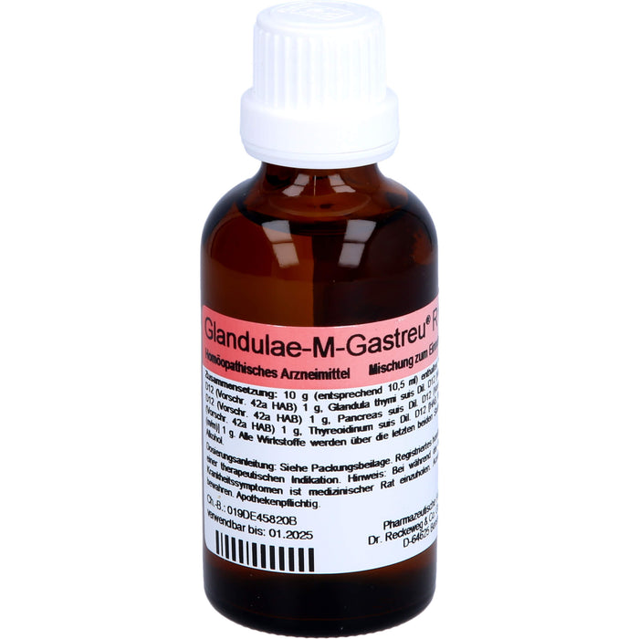 Glandulae-M-Gastreu R19 Tropfen, 50 ml Lösung