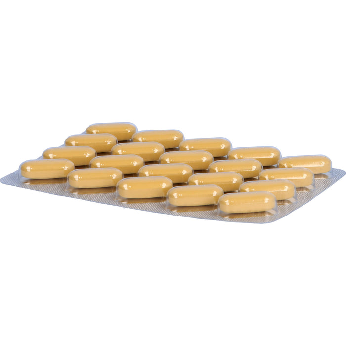 Neuroplant  AKTIV, 100 St. Tabletten