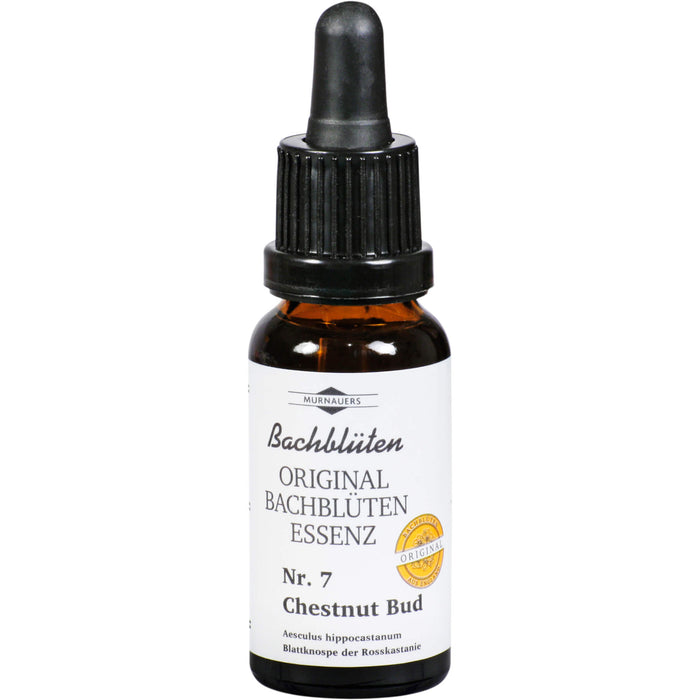 Bachblüten Murnauer Chestnut Bud Tropfen, 20 ml TRO