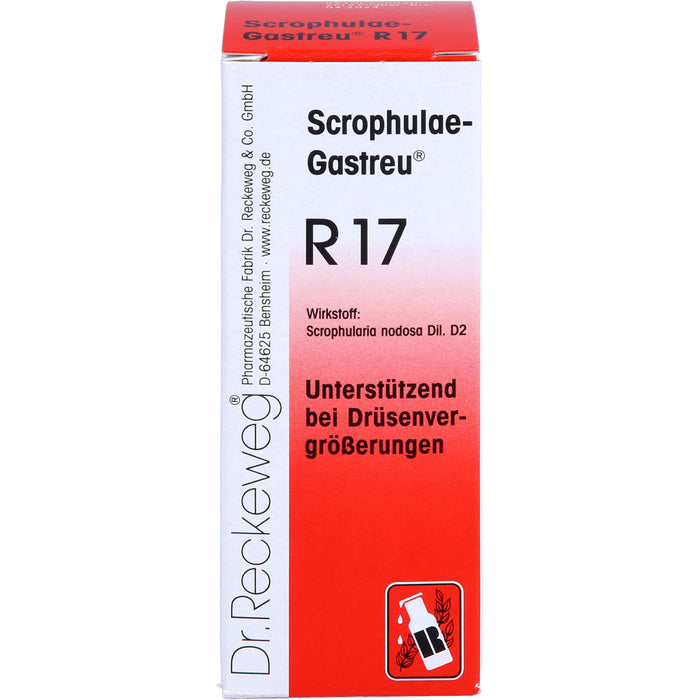 Dr. Reckeweg Scrophulae-Gastreu R17 Tropfen unterstützend bei Drüsenvergrößerungen, 50 ml Lösung