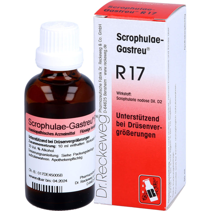 Dr. Reckeweg Scrophulae-Gastreu R17 Tropfen unterstützend bei Drüsenvergrößerungen, 50 ml Lösung