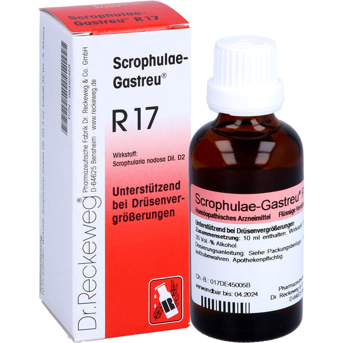 Dr. Reckeweg Scrophulae-Gastreu R17 Tropfen unterstützend bei Drüsenvergrößerungen, 50 ml Lösung