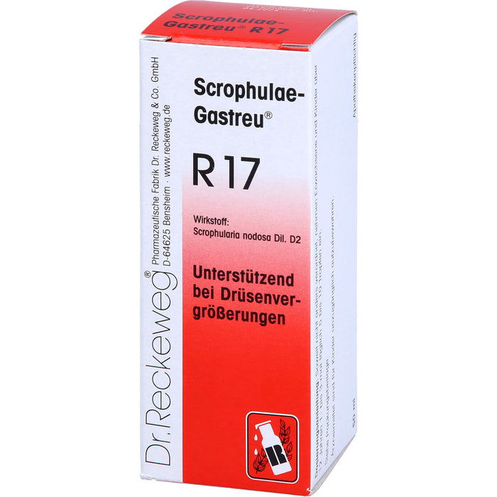Dr. Reckeweg Scrophulae-Gastreu R17 Tropfen unterstützend bei Drüsenvergrößerungen, 50 ml Lösung
