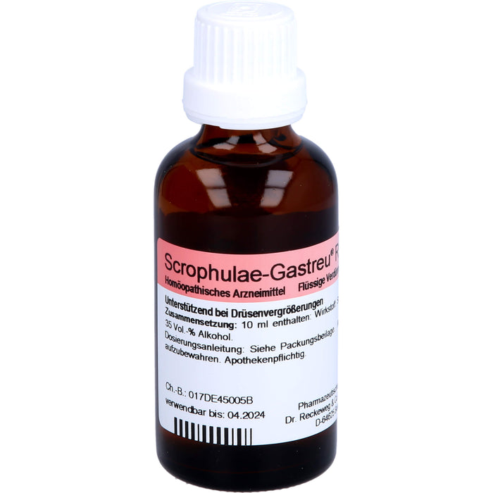 Dr. Reckeweg Scrophulae-Gastreu R17 Tropfen unterstützend bei Drüsenvergrößerungen, 50 ml Lösung