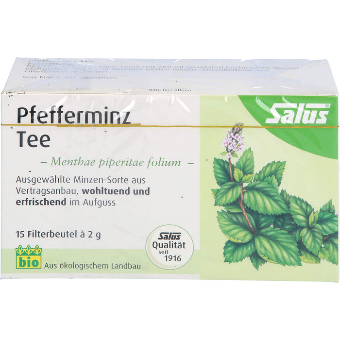 Pfefferminz Tee Menthae piperitae folium bio Salus, 15 St FBE