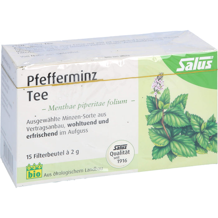 Pfefferminz Tee Menthae piperitae folium bio Salus, 15 St FBE