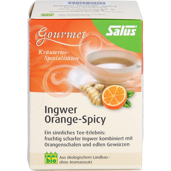 Salus Gourmet-Tee Ingwer Orange-Spicy, 15 St. Filterbeutel