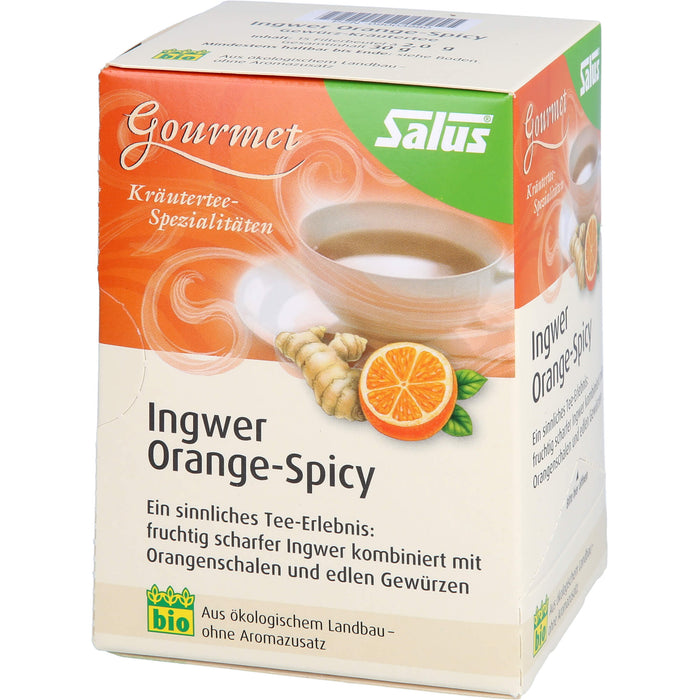 Salus Gourmet-Tee Ingwer Orange-Spicy, 15 St. Filterbeutel