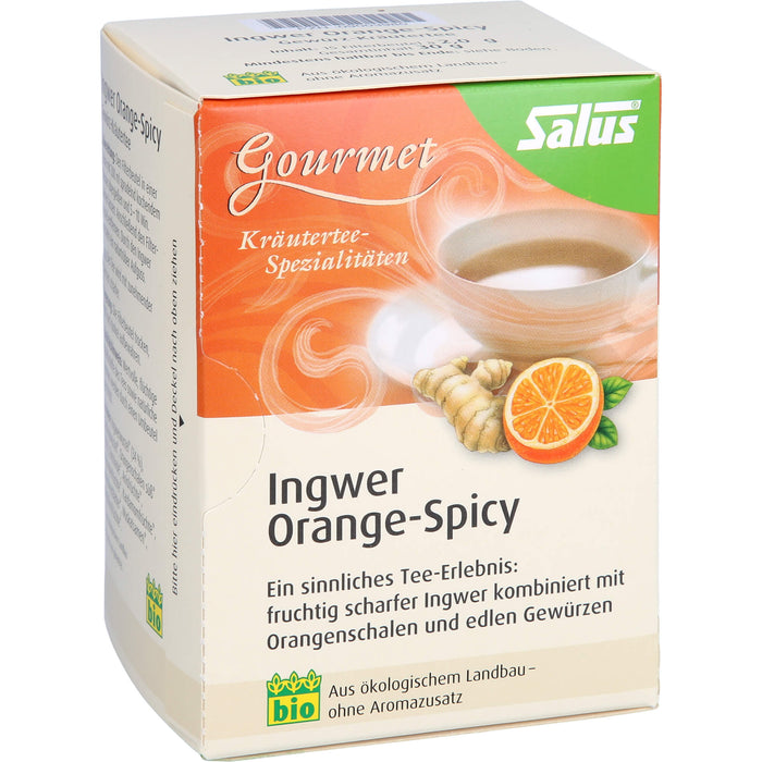 Salus Gourmet-Tee Ingwer Orange-Spicy, 15 St. Filterbeutel