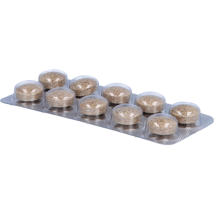 SYNOMED Basis-Mental Tabletten für  eine normale psychische Funktion, 120 St. Tabletten