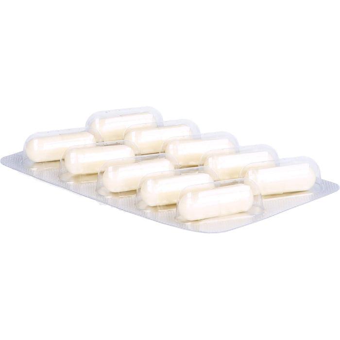 Glucosamin Intercell, 120 St KAP