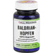 GALL PHARMA Baldrian-Hopfen GPH Kapseln, 50 St. Kapseln