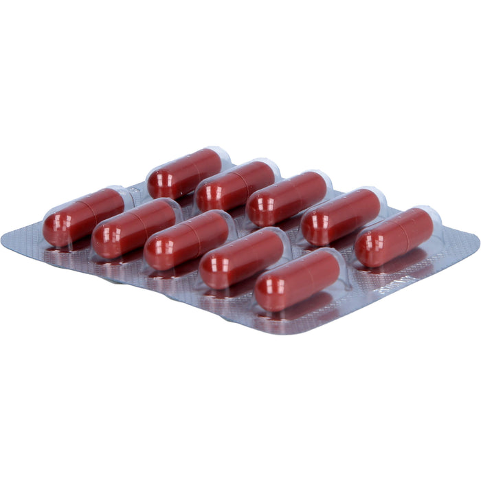 Legalon forte Emra Hartkapseln bei Erkrankungen der Leber, 30 St. Kapseln