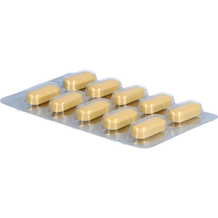 Solidacur 600 mg Filmtabletten zur Durchspülung der Harnwege, 50 St. Tabletten