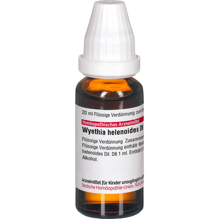 Wyethia helenioides D6 DHU Dilution, 20 ml Lösung
