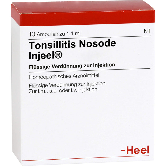 Heel Tonsillitis Nosode Injeel flüssige Verdünnung, 10 St. Ampullen