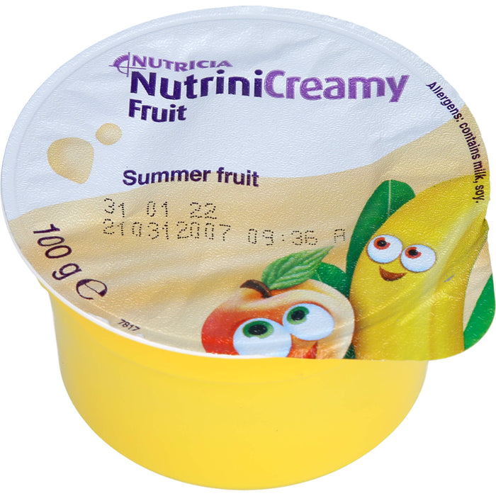 Nutrini Creamy Fruit Sommerfrüchte Trinknahrung für Kinder ab dem 1.Lebensjahr, 400 g Creme