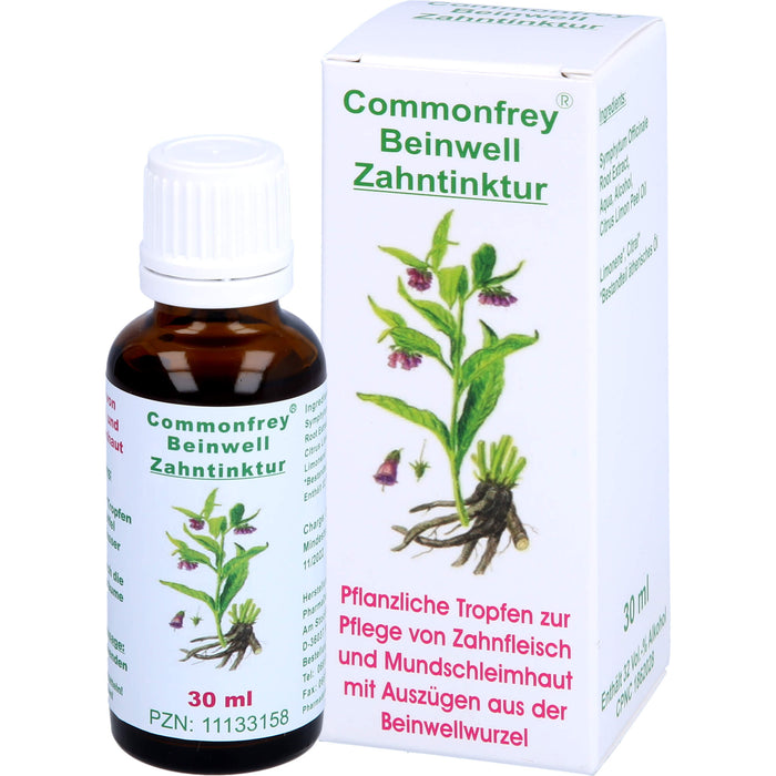 Commonfrey Beinwell Zahntinktur zur Pflege von Zahnfleisch und Mundschleimhaut, 30 ml Lösung
