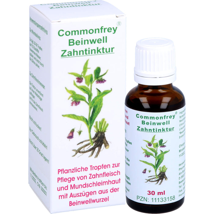 Commonfrey Beinwell Zahntinktur zur Pflege von Zahnfleisch und Mundschleimhaut, 30 ml Lösung