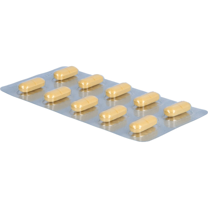 Ginkgo AL 240 mg Filmtabletten bei altersbedingten Gedächtniseinbußen mit leichter Demenz, 120 St. Tabletten