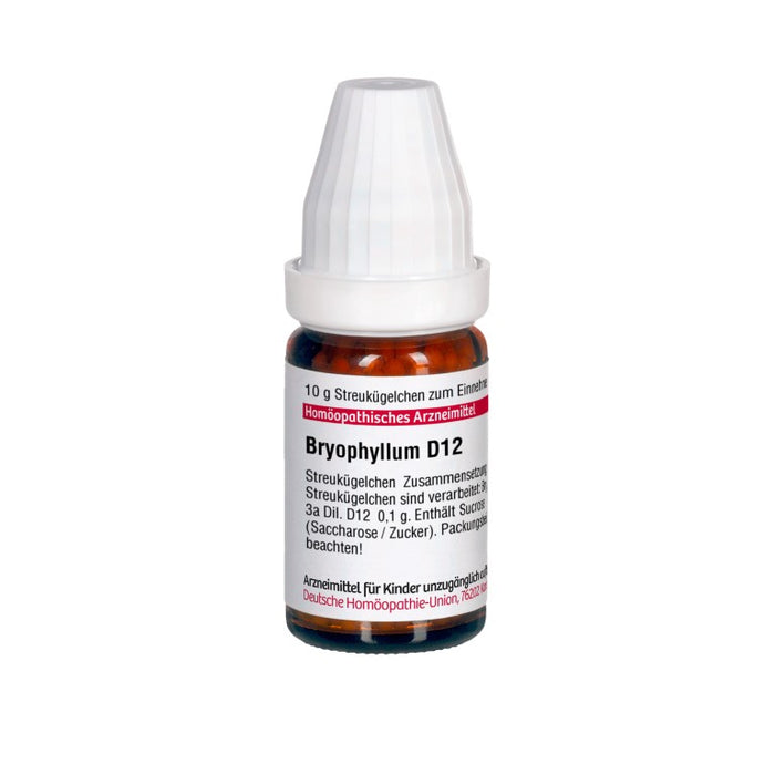 DHU Bryophyllum D12 Streukügelchen, 10 g Globuli