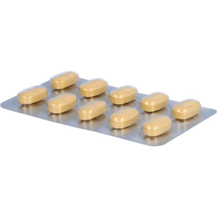 Ginkgo STADA 120 mg Filmtabletten, 60 St FTA