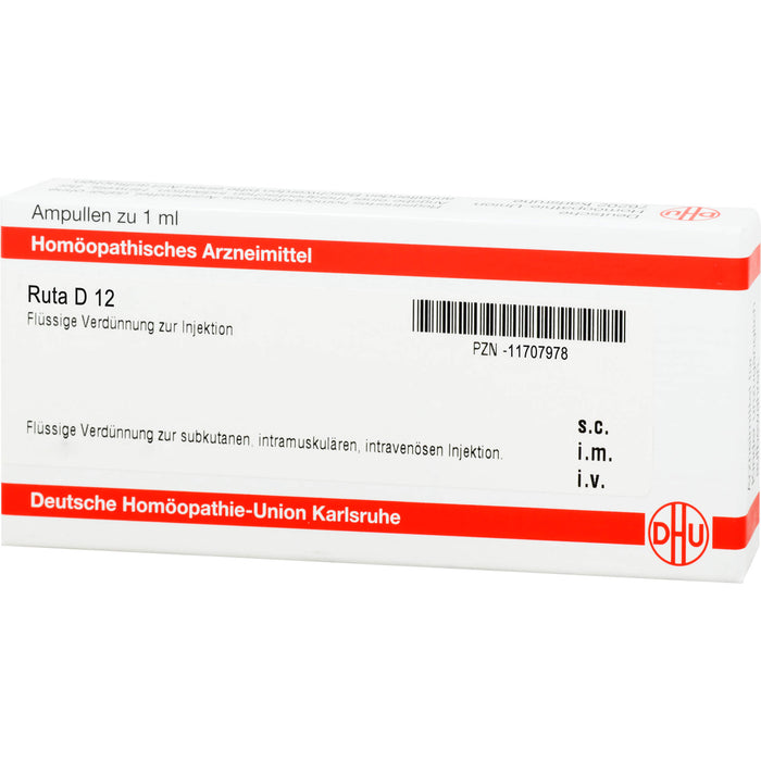 DHU Ruta D12 Ampullen, 8 St. Ampullen