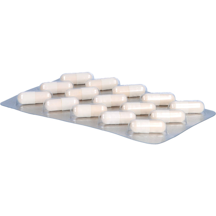 Fertilovit F 35 plus Kapseln für die Frau über 35 mit Kinderwunsch, 90 St. Kapseln