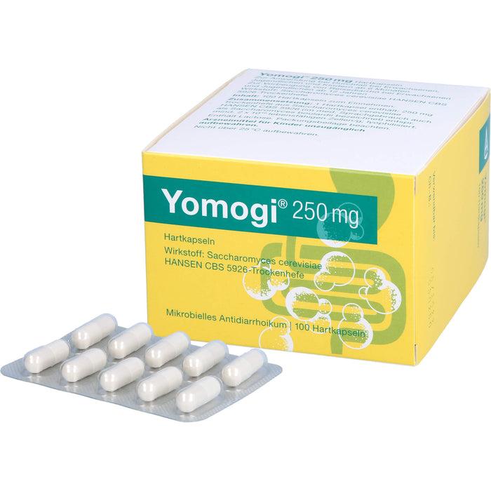 Yomogi 250 mg, Hartkapseln, 100 St HKP