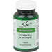 Green Line Nutritheke Vitamin B12 1A aktiviert Kapseln, 90 St. Kapseln