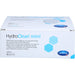 HydroClean Mini aktiviertes Wundkissen zur Nasstherapie, 10 St. Kompressen