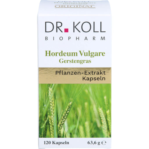 Gerstengras - Hordeum Vulgare, 120 St KAP