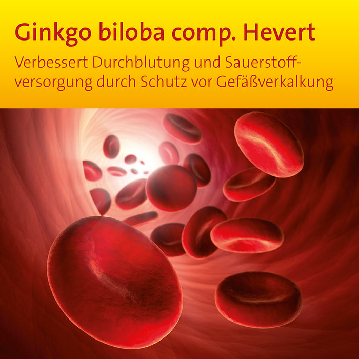 Ginkgo biloba comp. Hevert, 100 ml Lösung