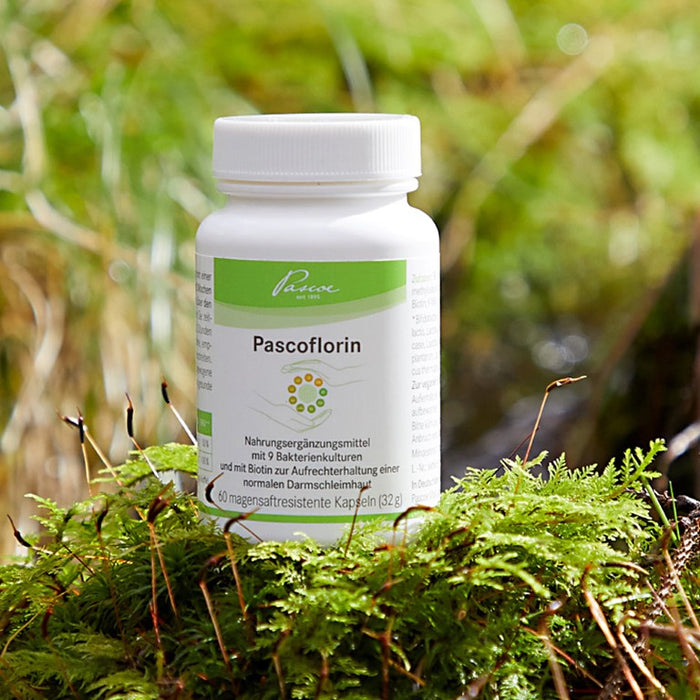 Pascoflorin®, 60 St KMR