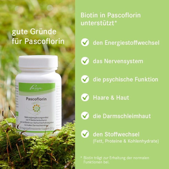 Pascoflorin®, 60 St KMR