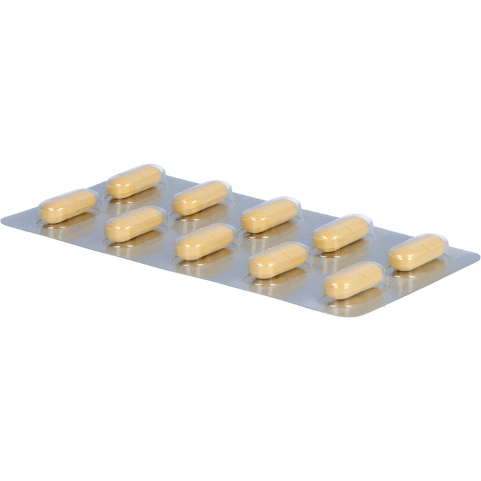 Gingobeta 240 mg Filmtabletten bei leichter Demenz, 50 St. Tabletten