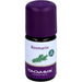 ROSMARIN BIO, 5 ml OEL