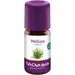 TAOASIS Melisse indicum bio 100 % Naturduft Öl, 5 ml ätherisches Öl