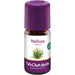 TAOASIS Melisse indicum bio 100 % Naturduft Öl, 5 ml ätherisches Öl