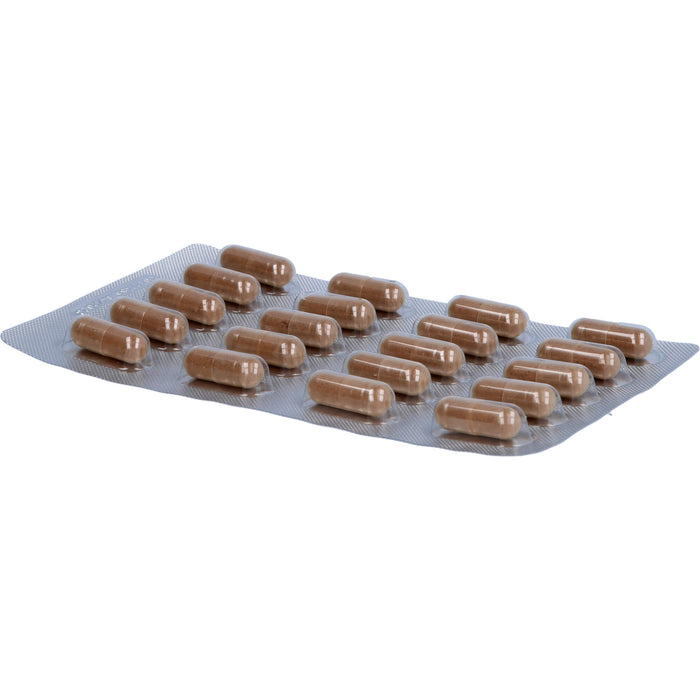 BjökoVit Vitamin K2 MK-7 all-trans vegan Kapseln, 60 St. Kapseln