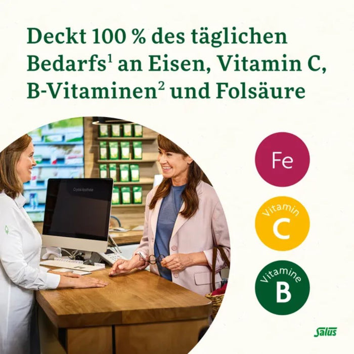 Floradix Eisen Sticks für die schnelle Eisenversorgung mit Lemongrass Himbeer Geschmack, 20 St. Sticks