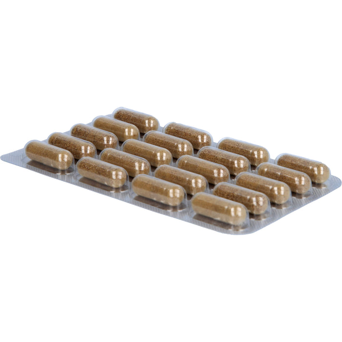 PADMA HepaTib Kapseln für eine normale Leberfunktion, 60 St. Kapseln