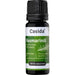 Rosmarinöl Naturrein Ätherisches Öl, 10 ml AEO