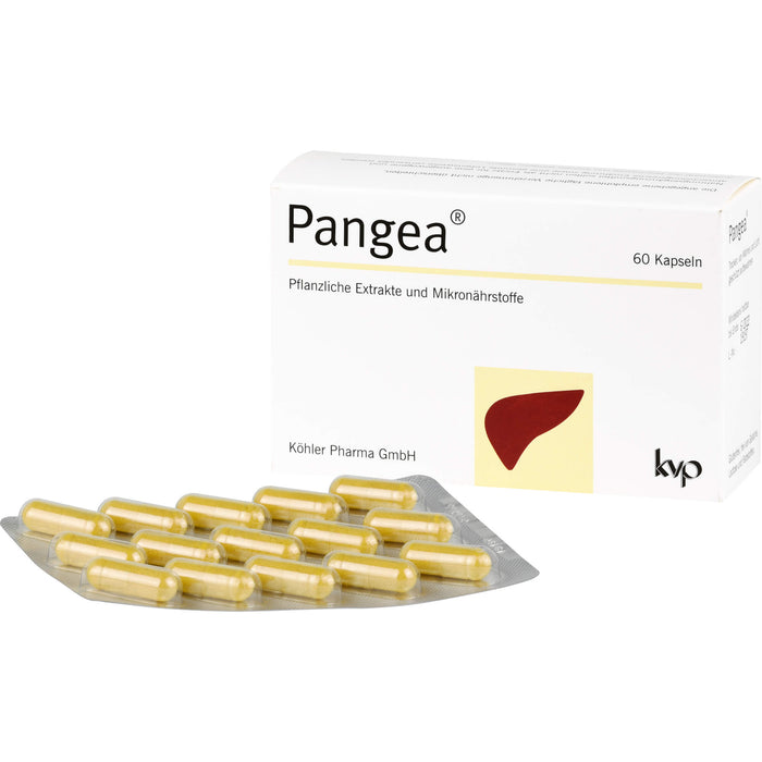 Pangea®, 60 St KAP