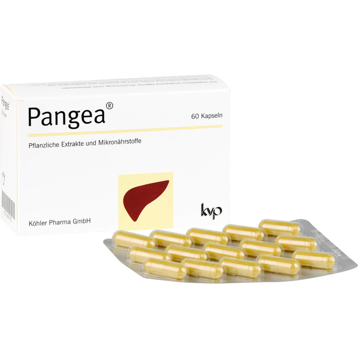 Pangea®, 60 St KAP