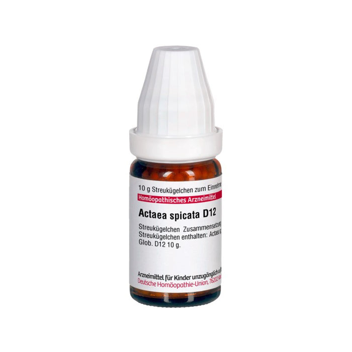 DHU Actaea spicata D12 Globuli, 10 g Globuli