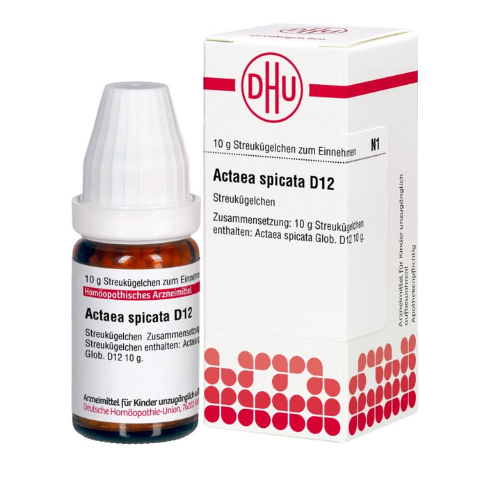 DHU Actaea spicata D12 Globuli, 10 g Globuli