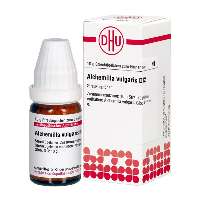 DHU Alchemilla vulgaris D12 Globuli, 10 g Globuli