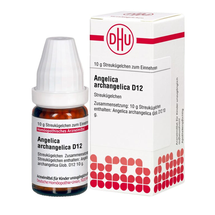 DHU Angelica archangelica D12 Globuli, 10 g Globuli