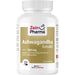 ZeinPharma Ashwagandha Extrakt 500 mg Kapseln, 120 St. Kapseln